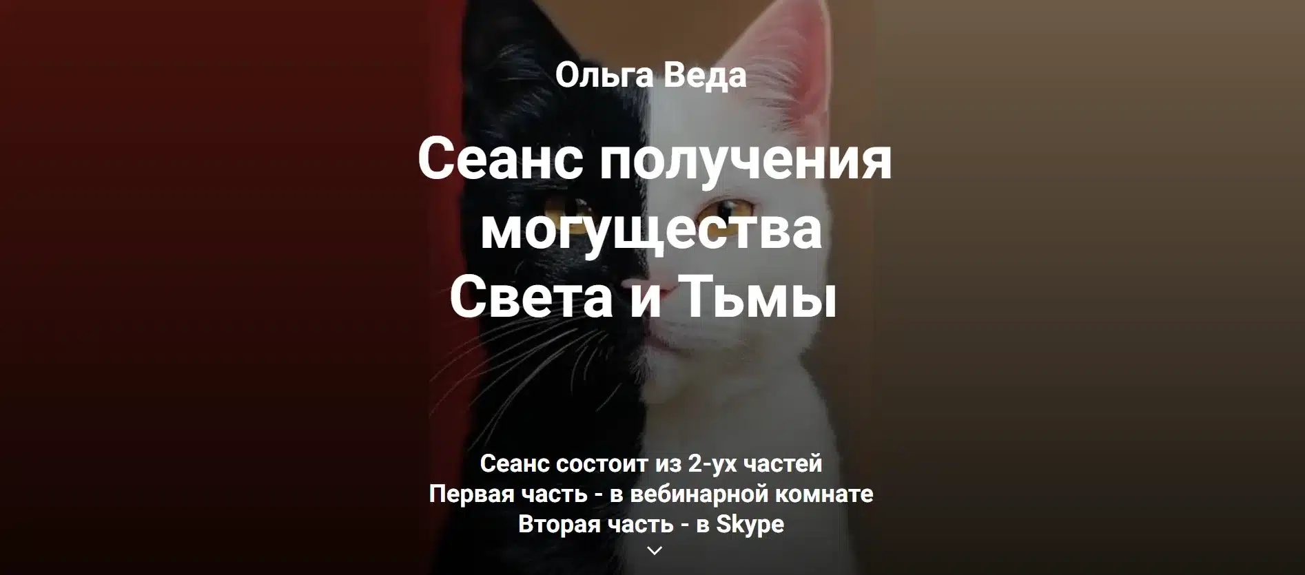 image_2024_11_24T17_49_33_023Z